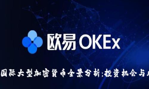 ```xml
2023年国际大型加密货币全景分析：投资机会与风险揭示