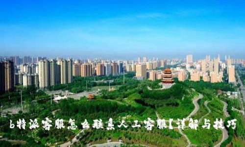 b特派客服怎么联系人工客服？详解与技巧