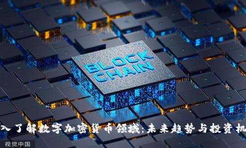 深入了解数字加密货币领域：未来趋势与投资机会