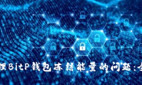 如何处理BitP钱包冻结能量的问题：全面指南