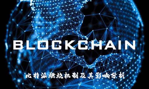 比特派燃烧机制及其影响分析