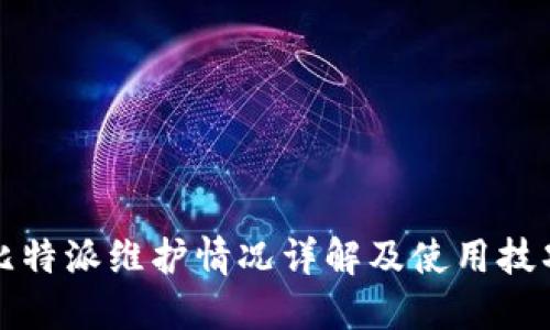 比特派维护情况详解及使用技巧