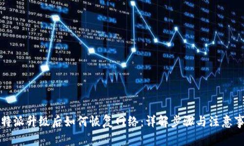 比特派升级后如何恢复网络：详解步骤与注意事项