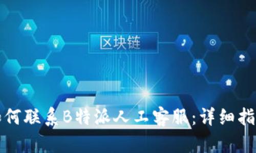 如何联系B特派人工客服：详细指南