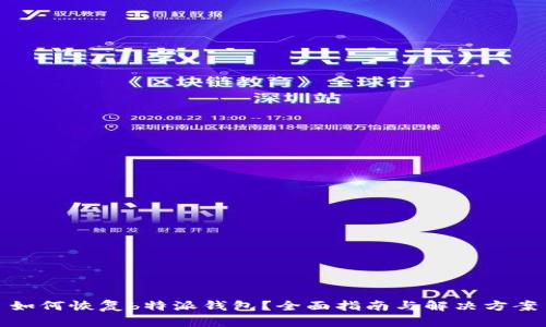 如何恢复b特派钱包？全面指南与解决方案