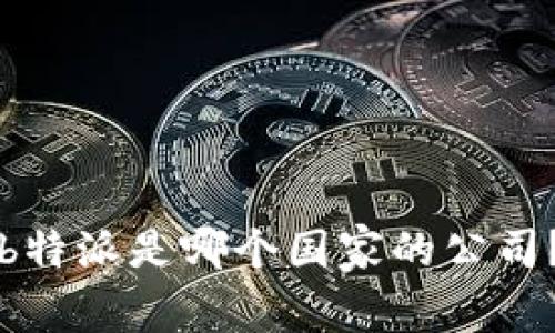 b特派是哪个国家的公司？
