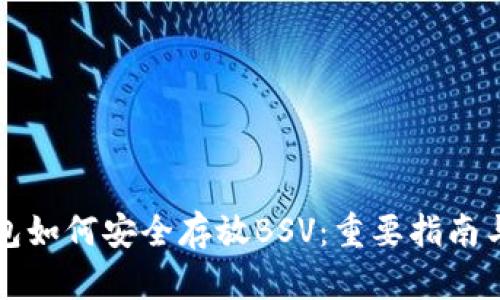 比特派钱包如何安全存放BSV：重要指南与最佳实践