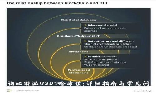 如何查询比特派USDT哈希值：详细指南与常见问题解答
