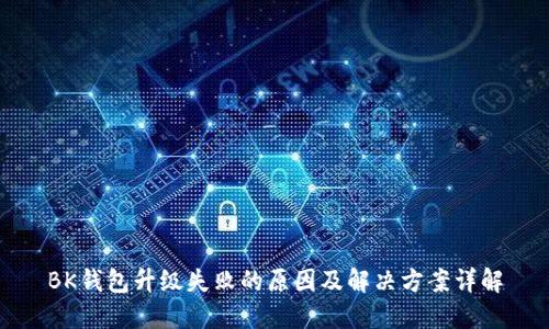 BK钱包升级失败的原因及解决方案详解