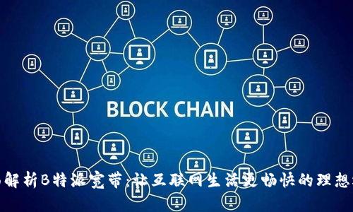 全面解析B特派宽带：让互联网生活更畅快的理想选择