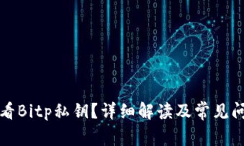 如何查看Bitp私钥？详细解读及常见问题解析