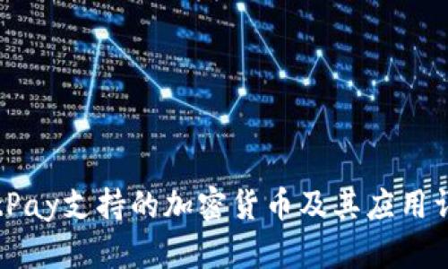 BitPay支持的加密货币及其应用详解