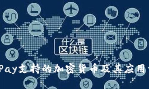 BitPay支持的加密货币及其应用详解