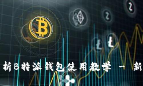 全面解析B特派钱包使用教学 - 新手指南