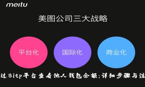 如何通过Bitp平台查看他人钱包余额：详细步骤与注意事项