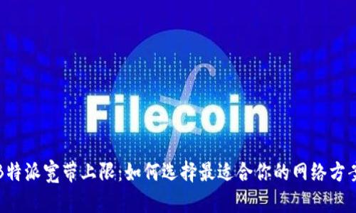 B特派宽带上限：如何选择最适合你的网络方案