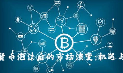 加密货币泡沫后的市场演变：机遇与挑战