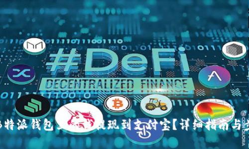 如何将B特派钱包里的钱提现到支付宝？详细指南与步骤解析
