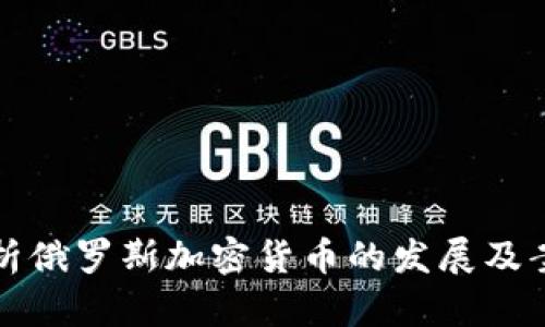全面分析俄罗斯加密货币的发展及案例研究