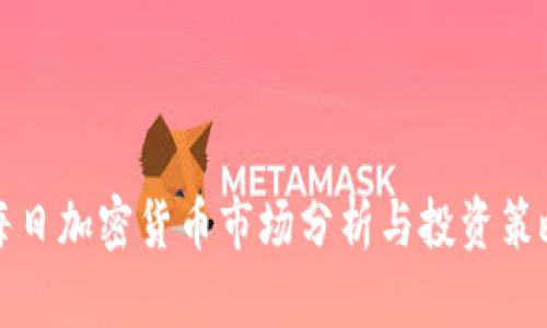 每日加密货币市场分析与投资策略