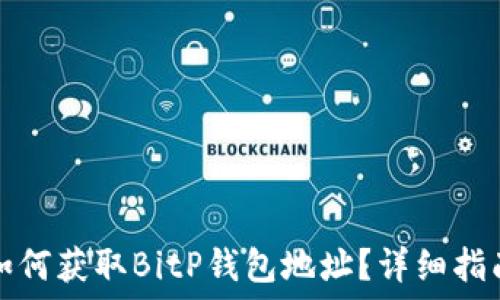   
如何获取BitP钱包地址？详细指南