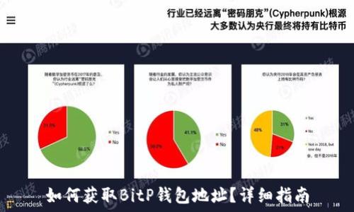   
如何获取BitP钱包地址？详细指南