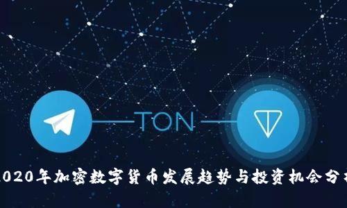 2020年加密数字货币发展趋势与投资机会分析