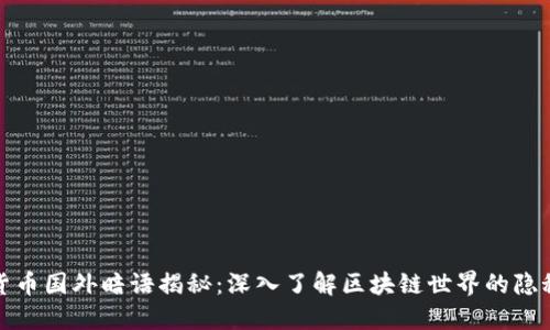 加密货币国外暗语揭秘：深入了解区块链世界的隐秘语言