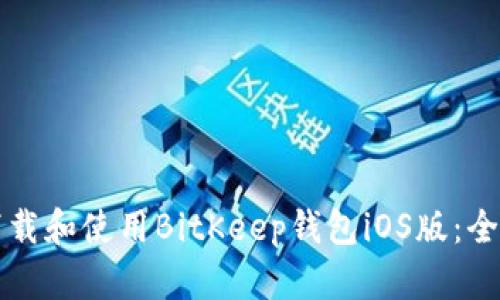 如何下载和使用BitKeep钱包iOS版：全面指南