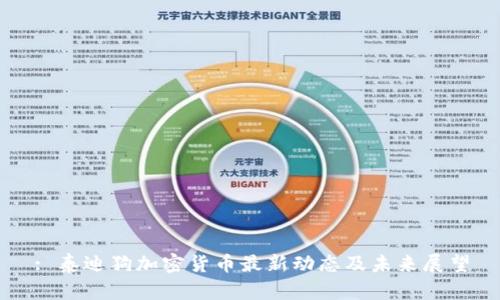 : 泰迪狗加密货币最新动态及未来展望