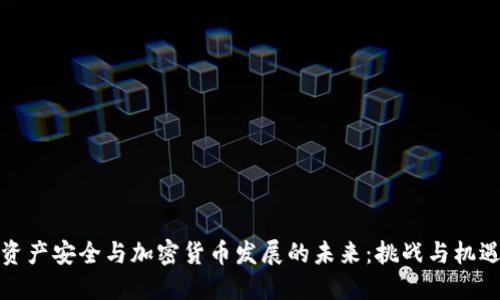 资产安全与加密货币发展的未来：挑战与机遇