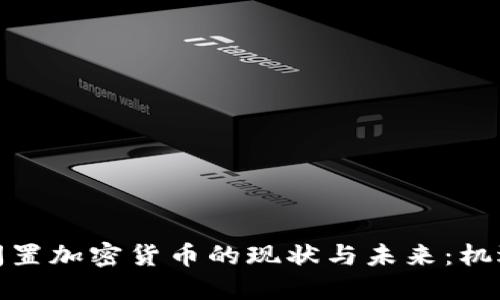 俄罗斯闲置加密货币的现状与未来：机遇与挑战