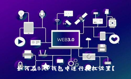 如何在BitP钱包中进行授权设置？