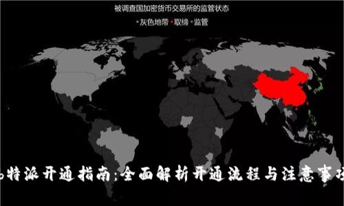 b特派开通指南：全面解析开通流程与注意事项