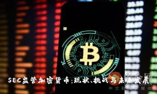 SEC监管加密货币：现状、挑战与未来发展