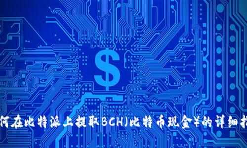 如何在比特派上提取BCH（比特币现金）的详细指南