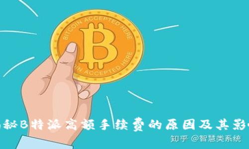 揭秘B特派高额手续费的原因及其影响