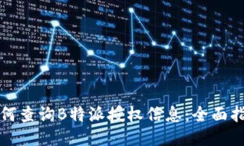 如何查询B特派授权信息：全面指南