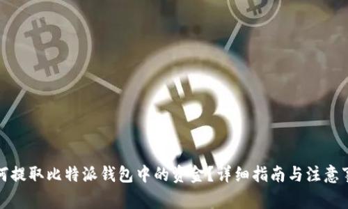 如何提取比特派钱包中的资金？详细指南与注意事项