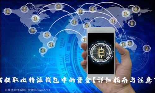 如何提取比特派钱包中的资金？详细指南与注意事项
