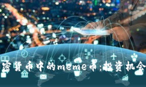 深入了解加密货币中的meme币：投资机会与风险分析