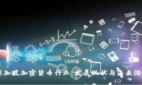 新加坡加密货币行业：发展现状与未来潜力