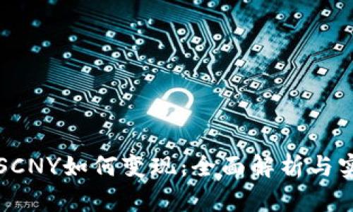 比特派SCNY如何变现：全面解析与实用指南