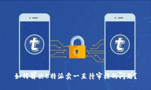 如何解决B特派卖一直待审核的问题？