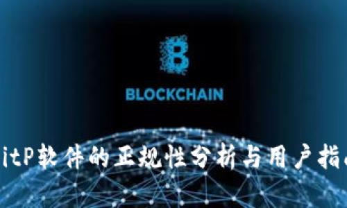 BitP软件的正规性分析与用户指南