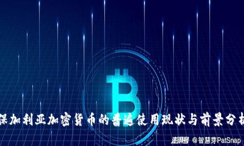 保加利亚加密货币的普遍使用现状与前景分析