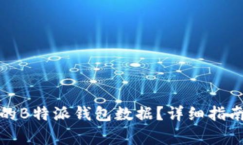 如何恢复被删除的B特派钱包数据？详细指南与常见问题解答