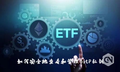如何安全地查看和管理BitP私钥