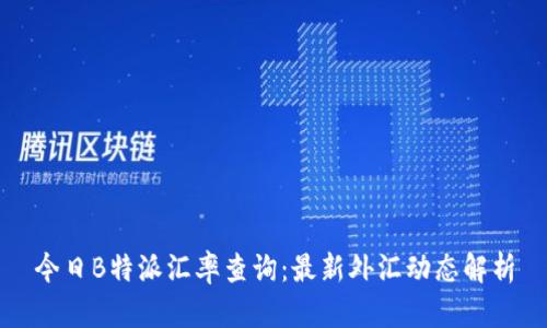 今日B特派汇率查询：最新外汇动态解析