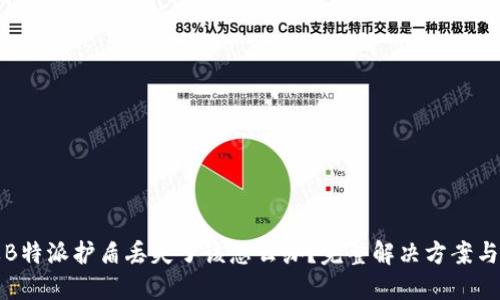 如果B特派护盾丢失了该怎么办？完整解决方案与指导